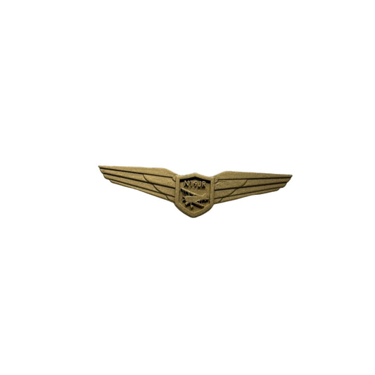 Custom Pin - Biplane & Tail Number