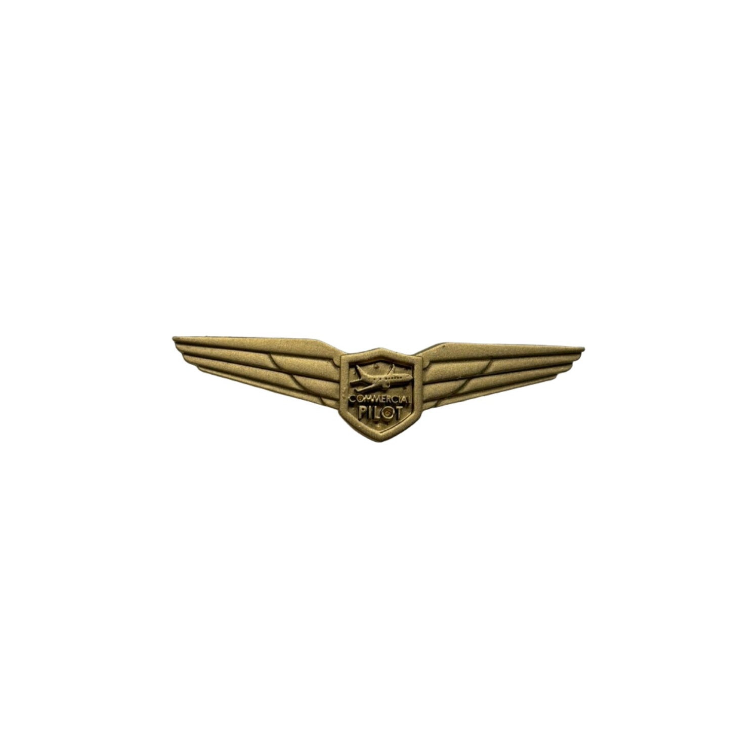 Flying Milestone - Commercial Pilot