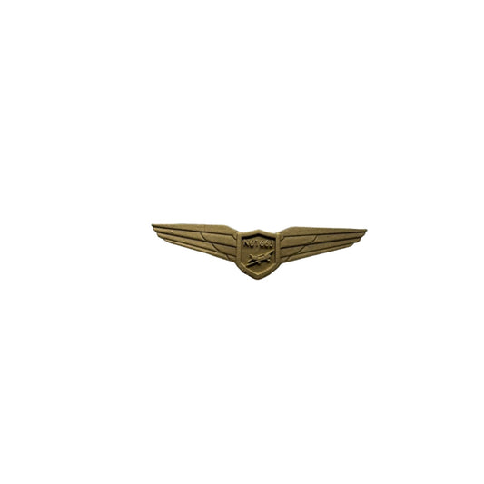 Custom Pin - Piper Cherokee/Warrior & Tail Number
