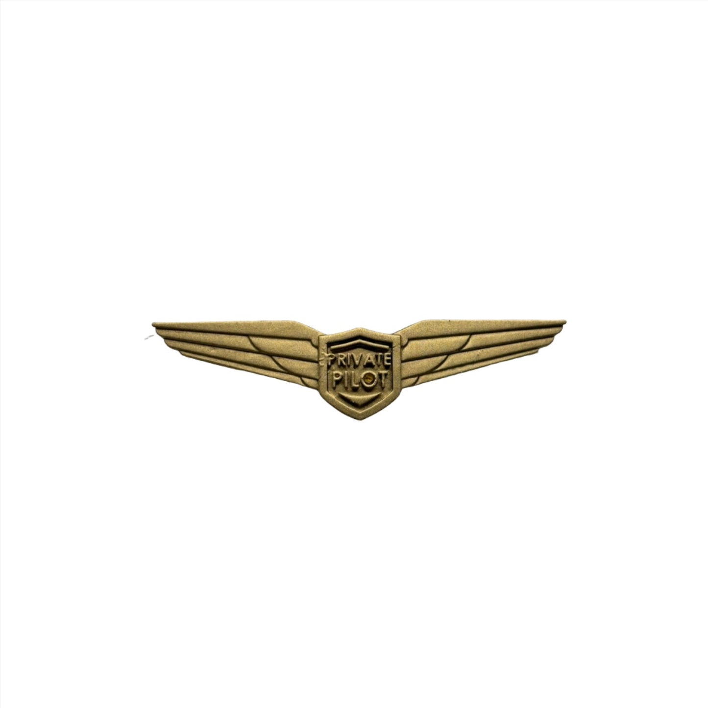 Flying Milestone - Private Pilot